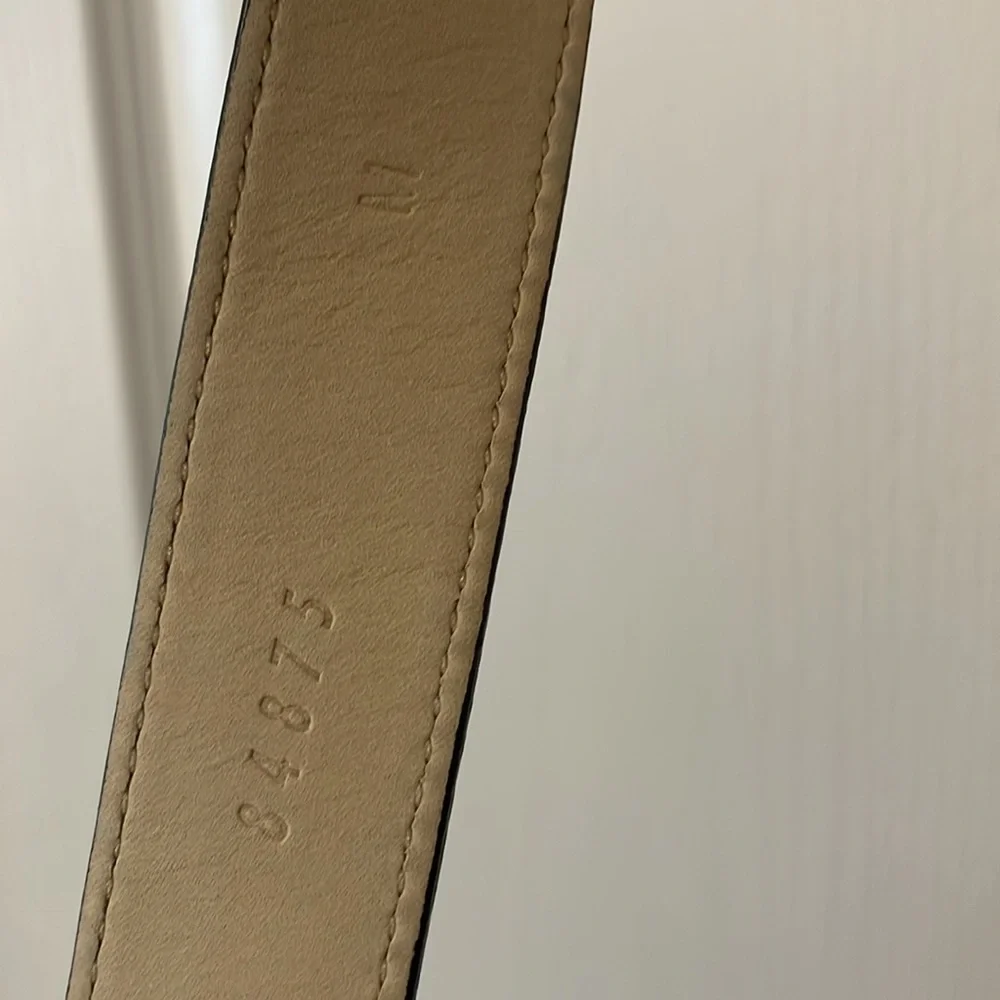 Ann Taylor Belt